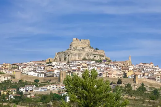 Morella.webp